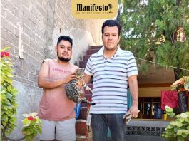 Rescatan a animal atrapado en palma en Acatlan