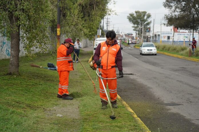 realiza-gobierno-de-pepe-chedraui-jornada-de-limpi