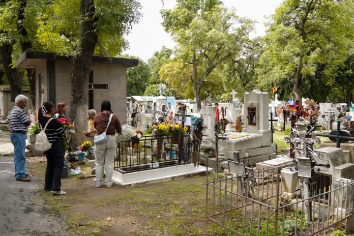reporta-gobierno-de-pepe-chedraui-mas-de-33-mil-as